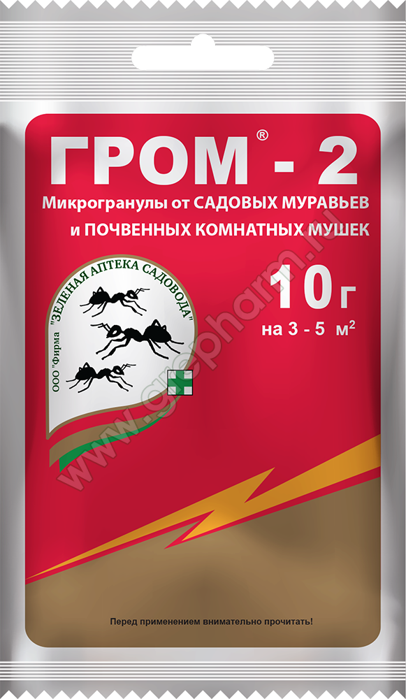 ГРОМ-2