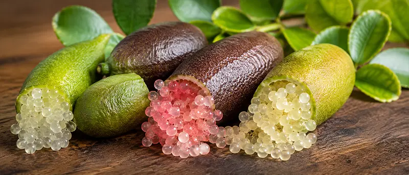 Микроцитрус Австралийский пальчиковый лайм "Цитрусовая икра"